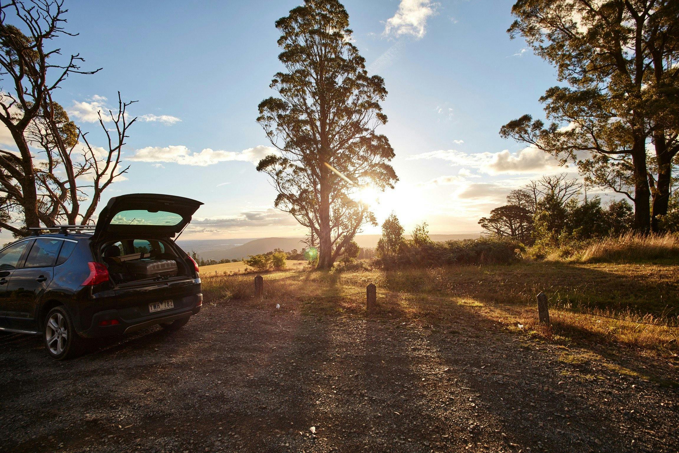 Frank Thomson Reserve