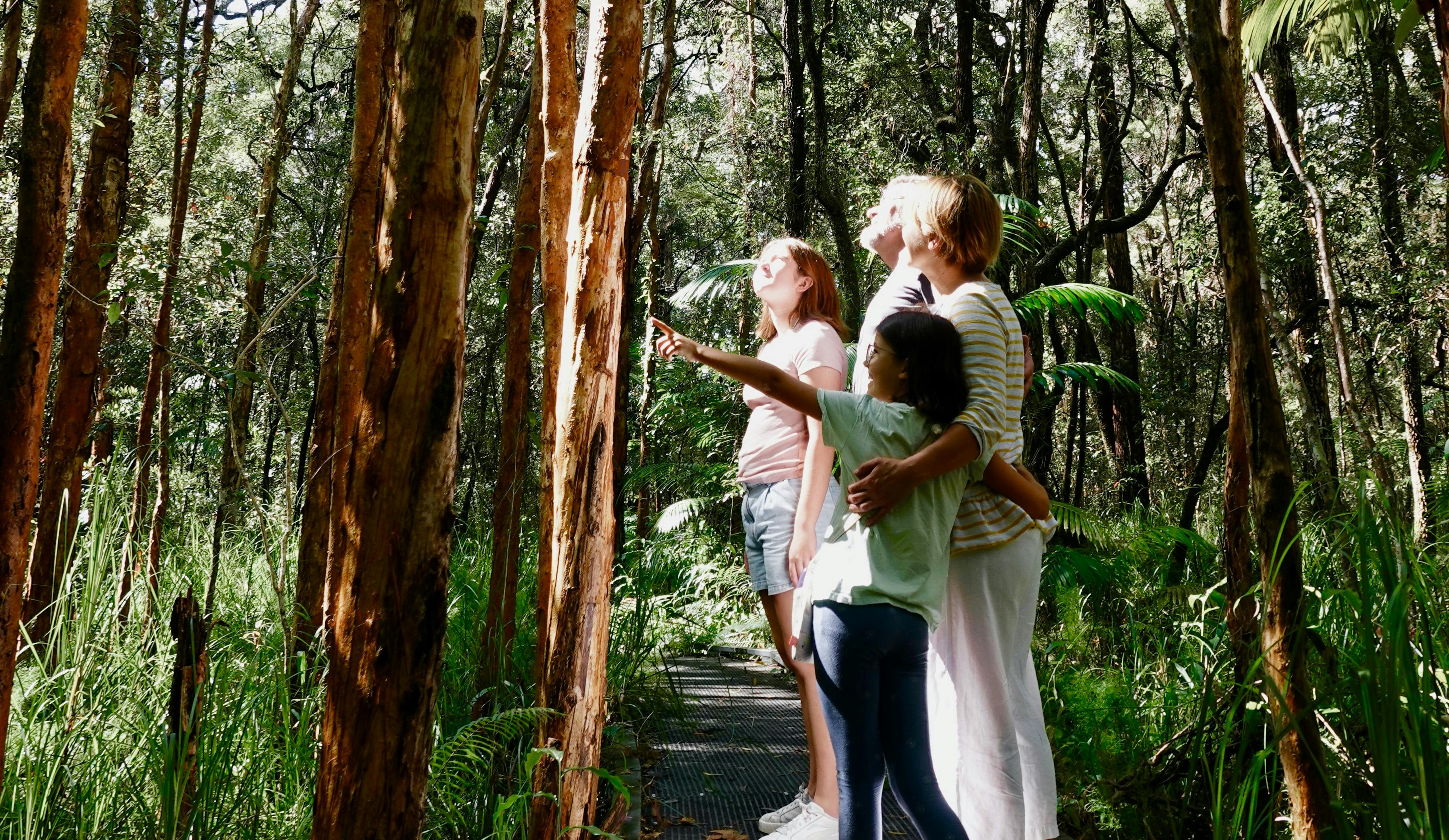 People walking in the forest