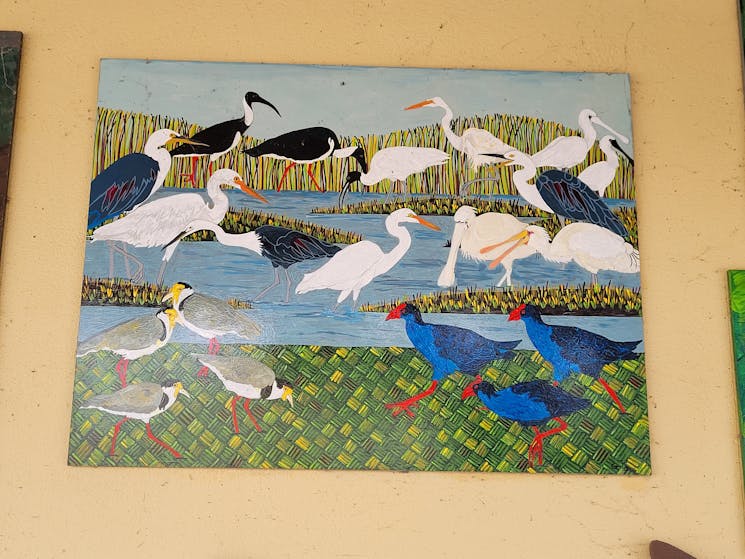 waterscene depicting native australian water birds