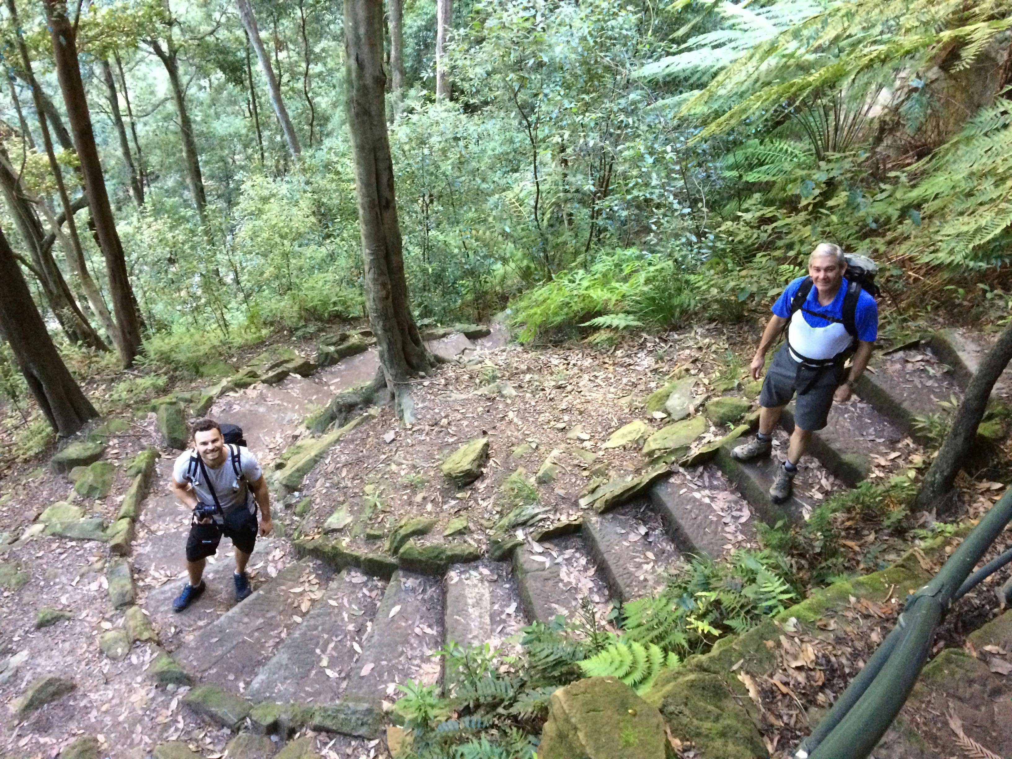Bush walks to lookouts