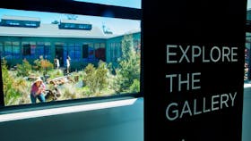 Cradle Mountain Wilderness Gallery