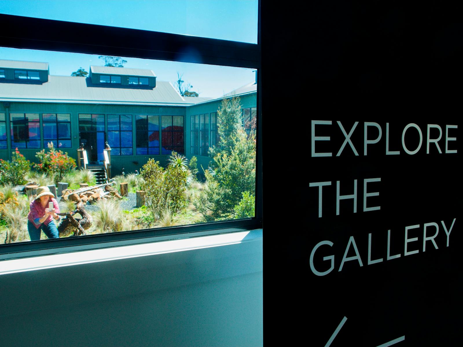 Explore the gallery