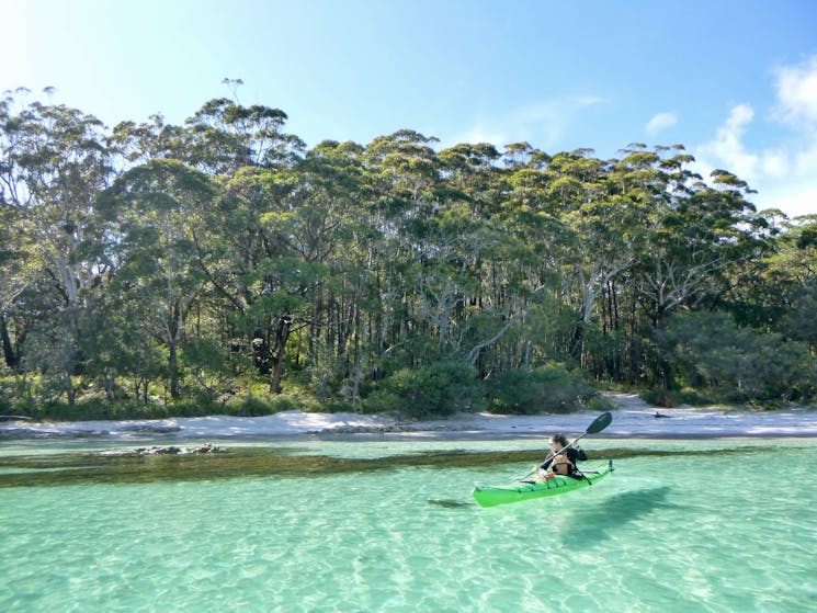 Clear water, jervis bay tour, kayak tour, huskisson kayaking