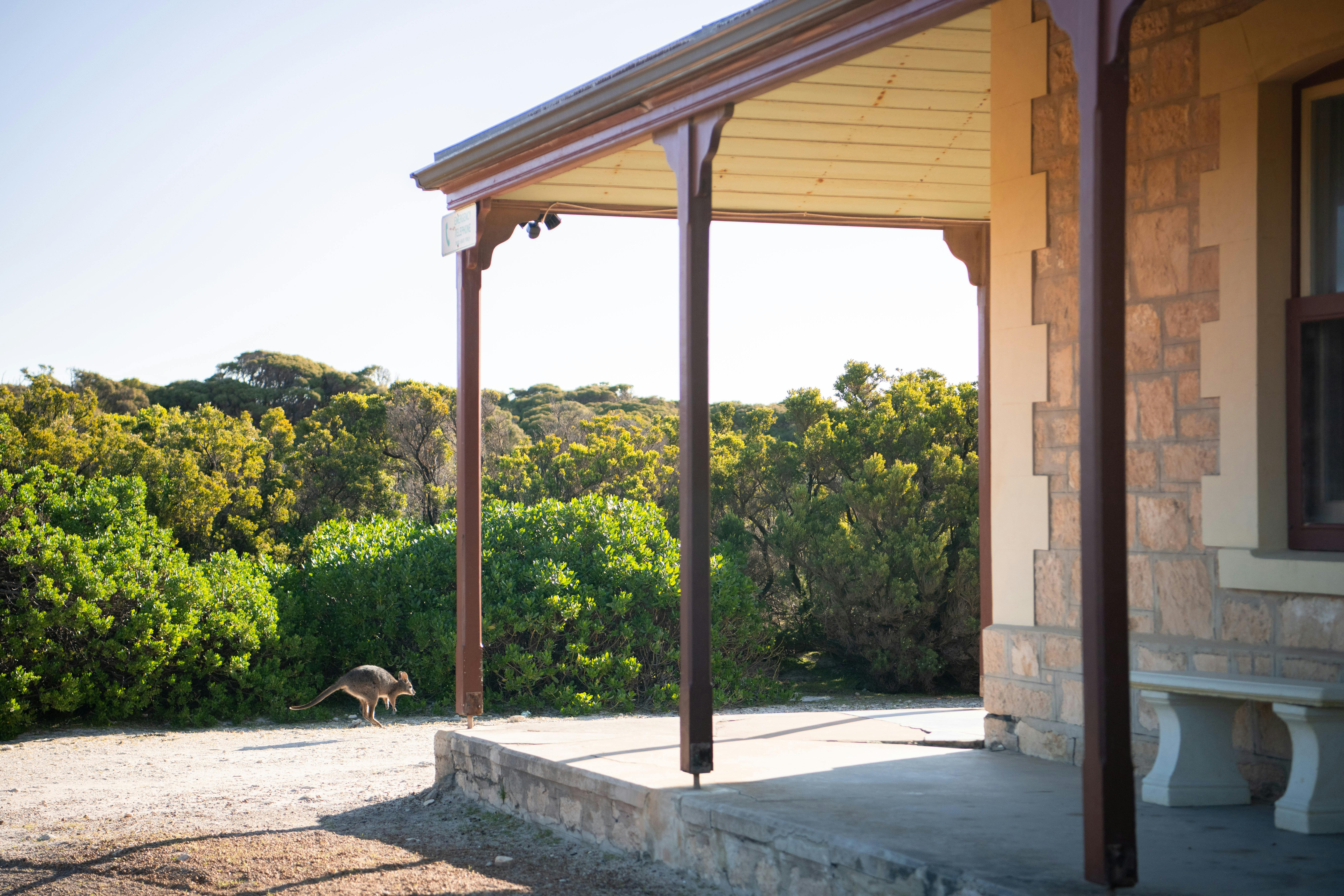 Kangaroo Island Lightkeeper Walk