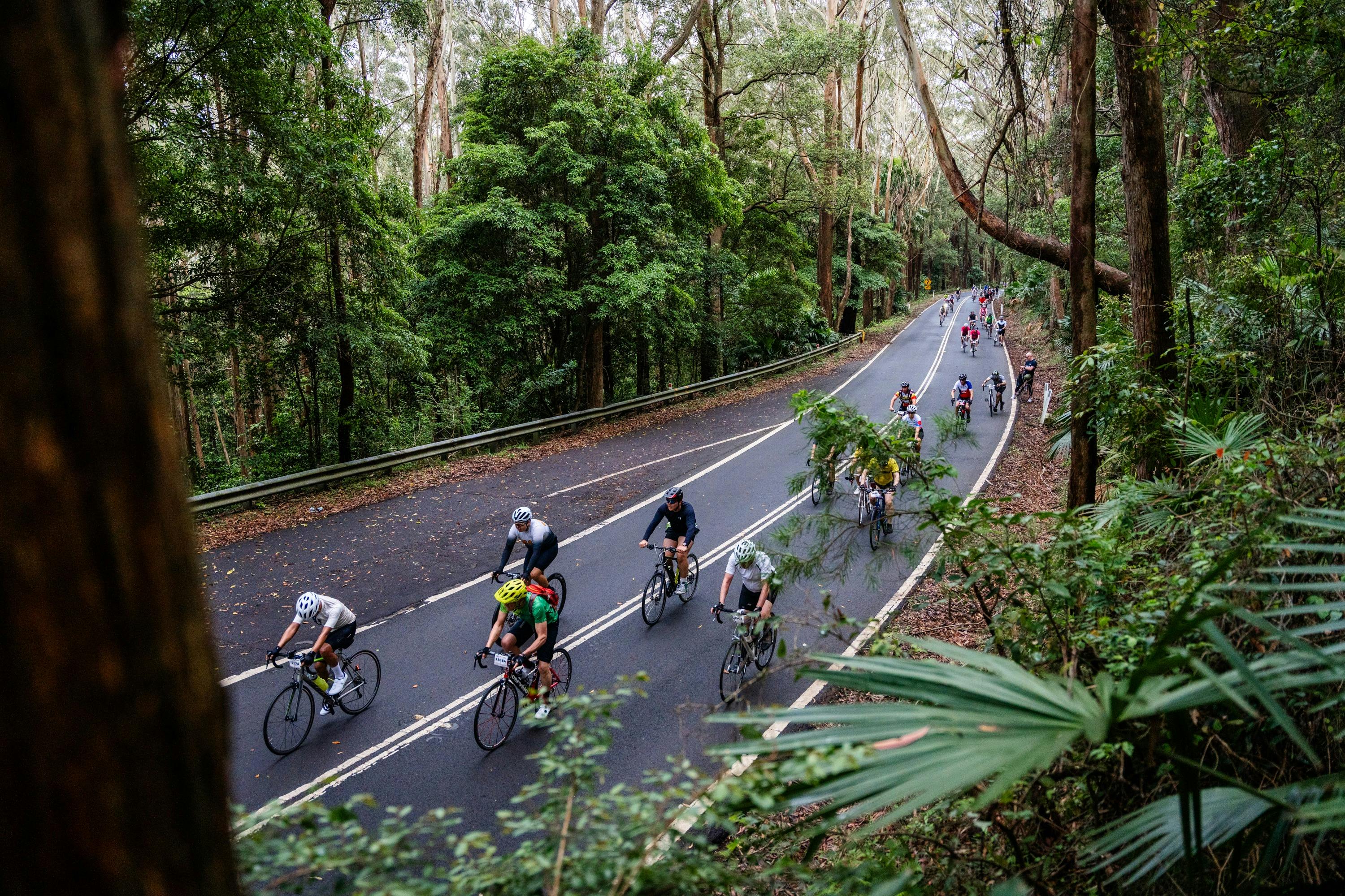 Bike riders travelling through the Royal National Park