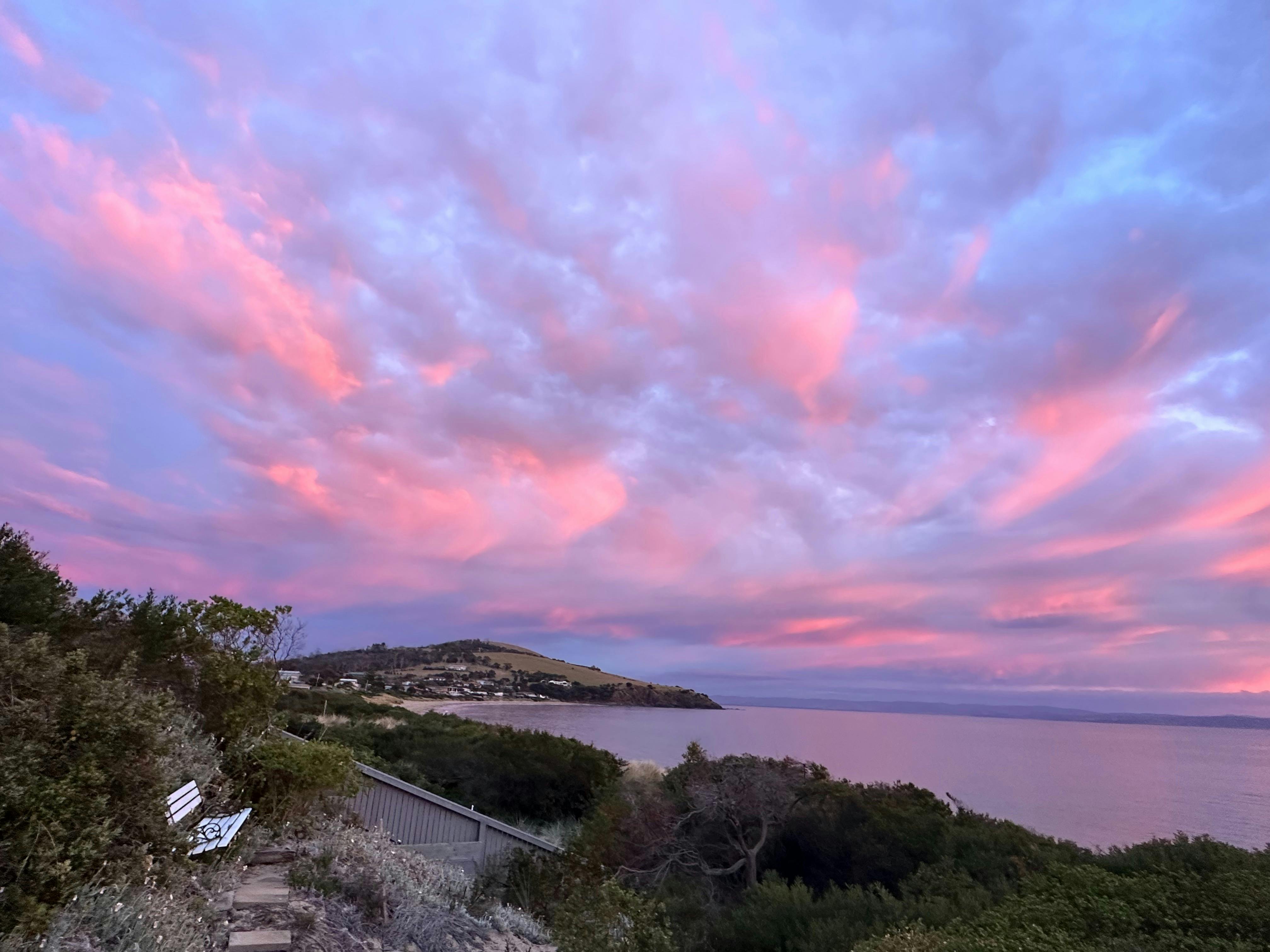 Sunrises over the bay.  The coffee/wine seat nestled amongst the flowers.