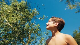 Boy looking at butterflies on Keswick Island