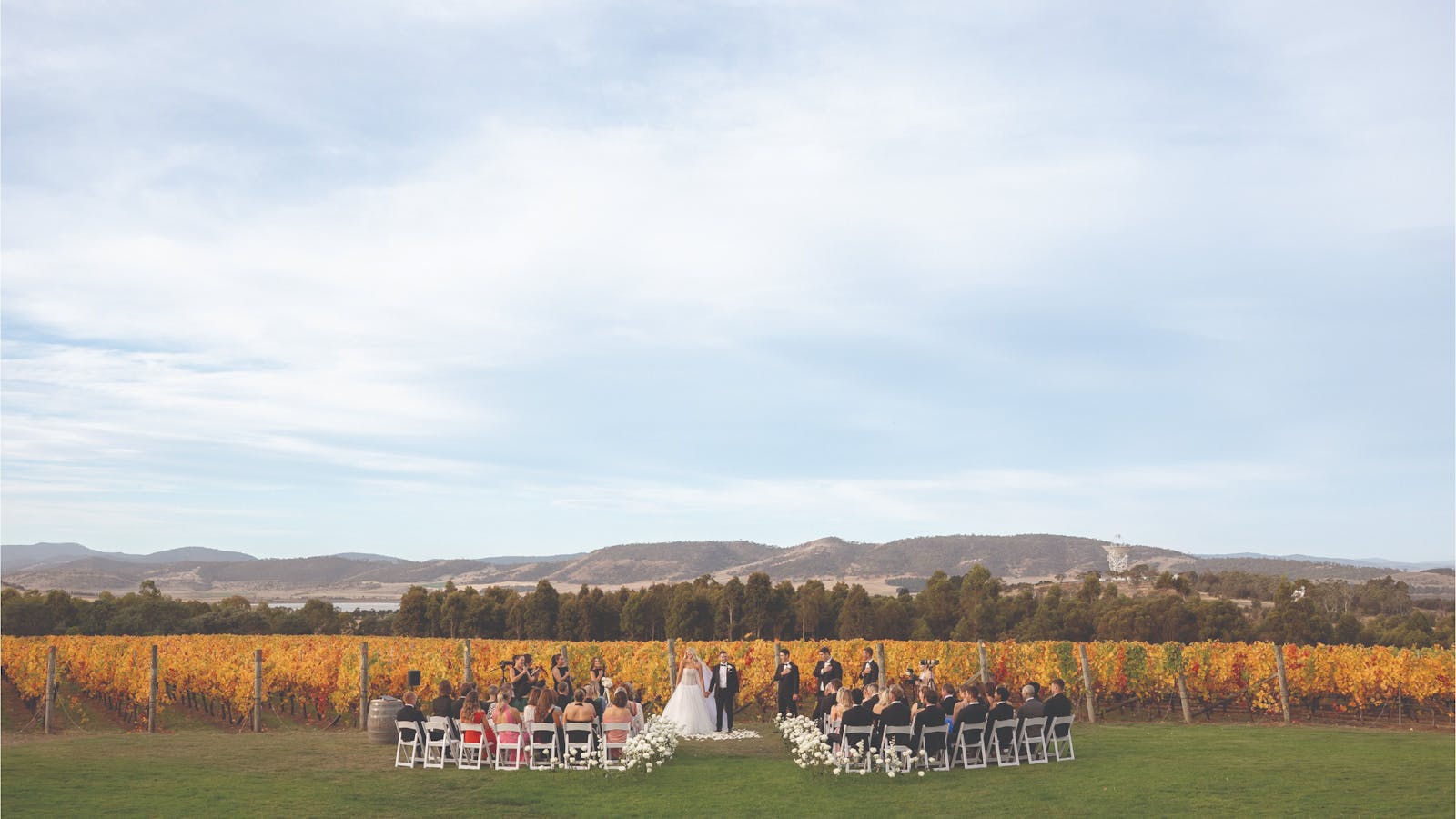 Autumn wedding ceremony in front of the vines.
