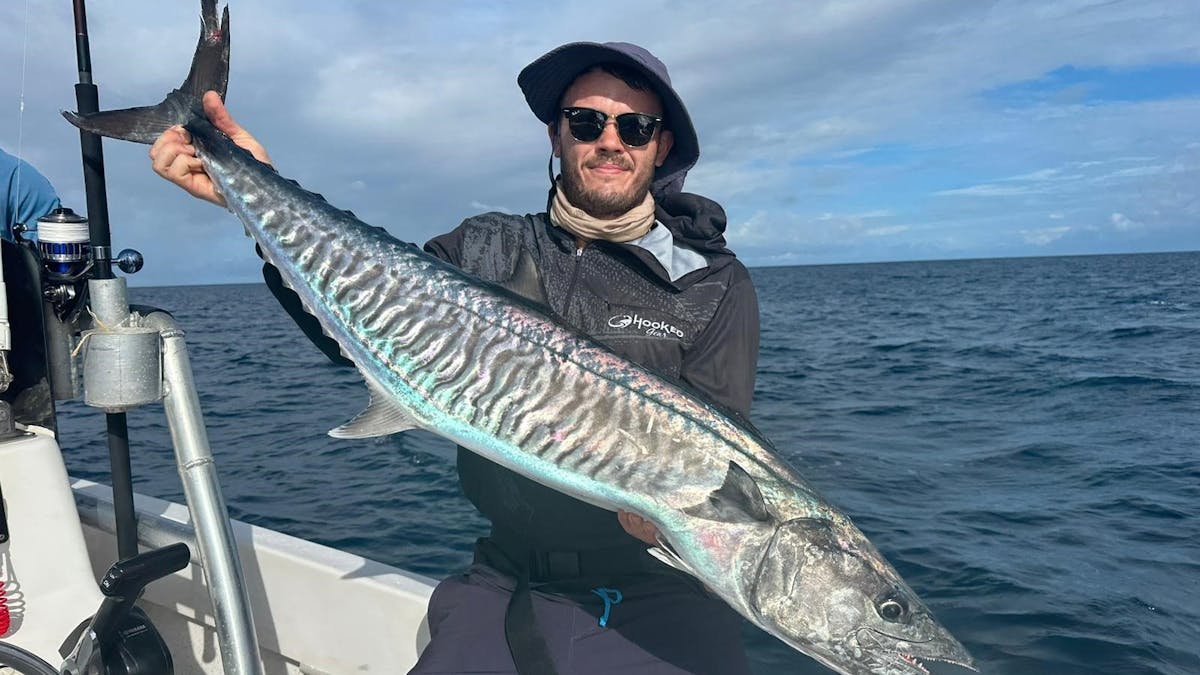 Spanish Mackerel