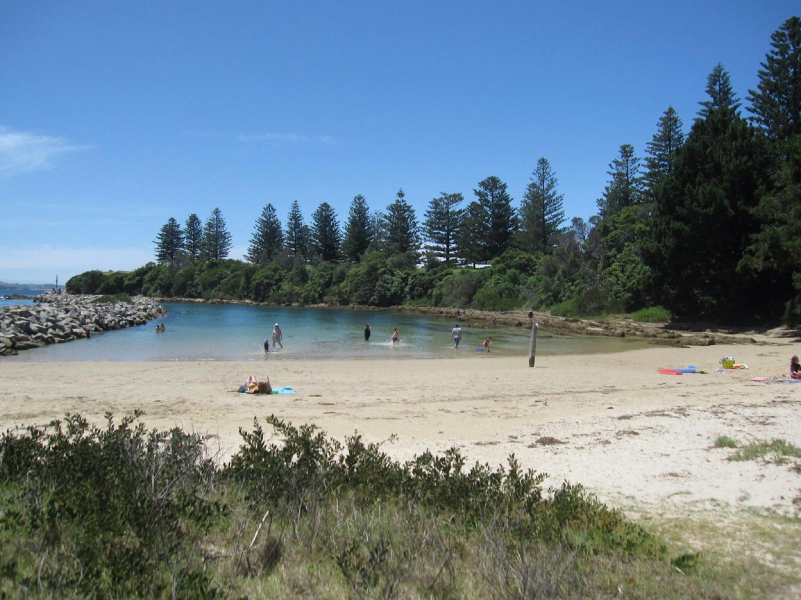 Bruce Steer Pool