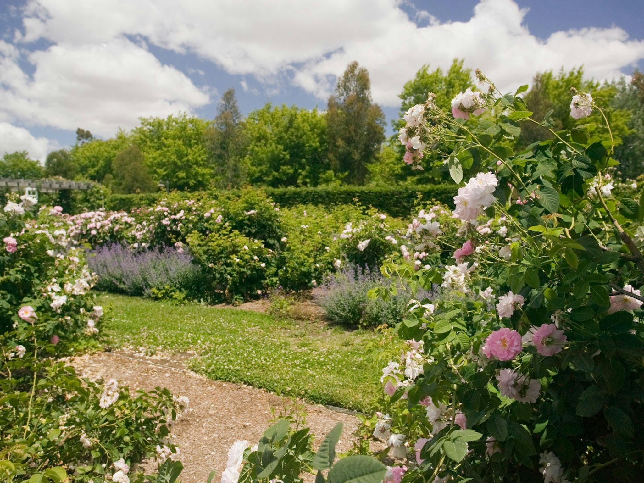 Rex Hazlewood Garden