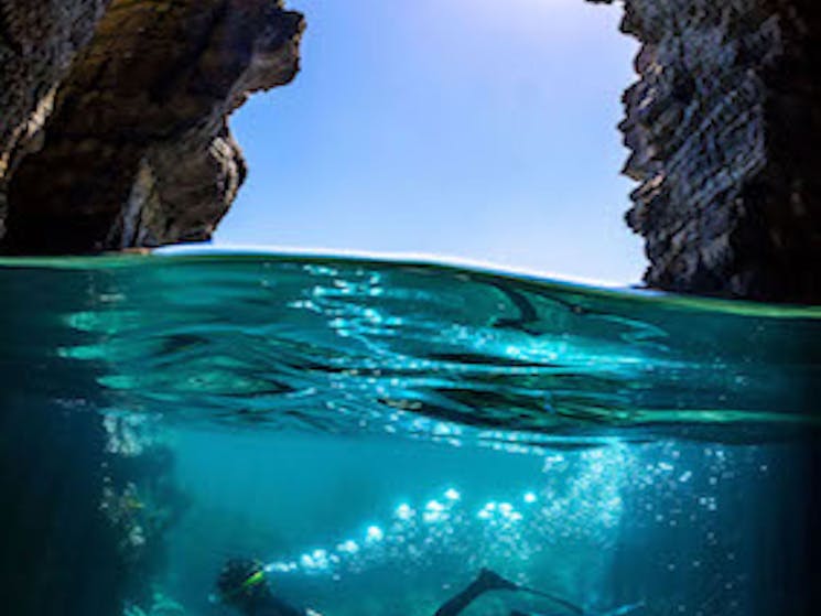 freediving, snorkelling, sea caves, Jervis Bay, NSW, Boat expeditions, tour operators, woebegone