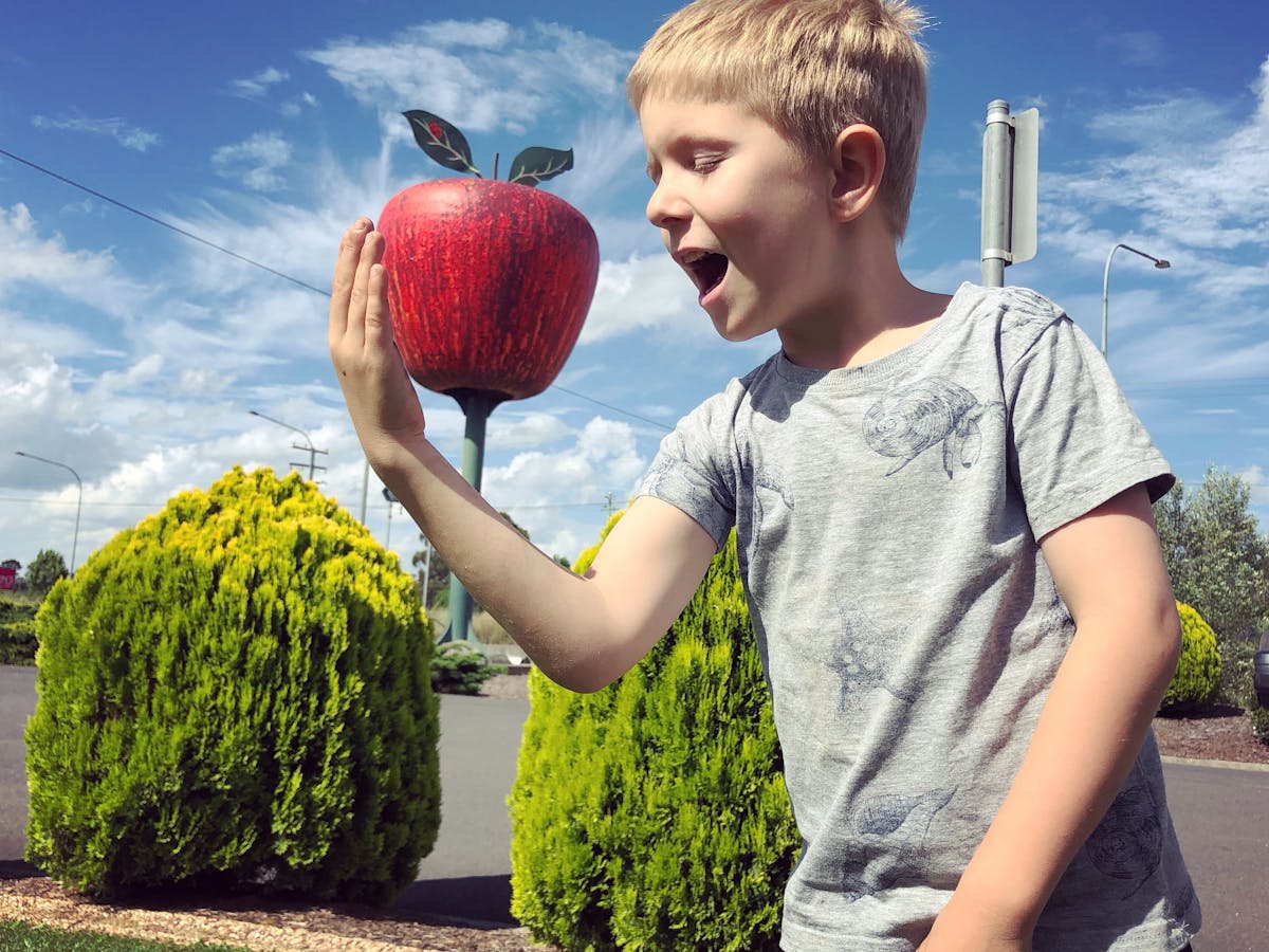 The Big Apple