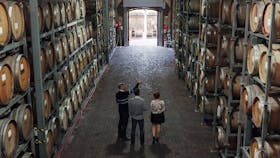 Guests admire the old barrel hall at Wirra Wirra