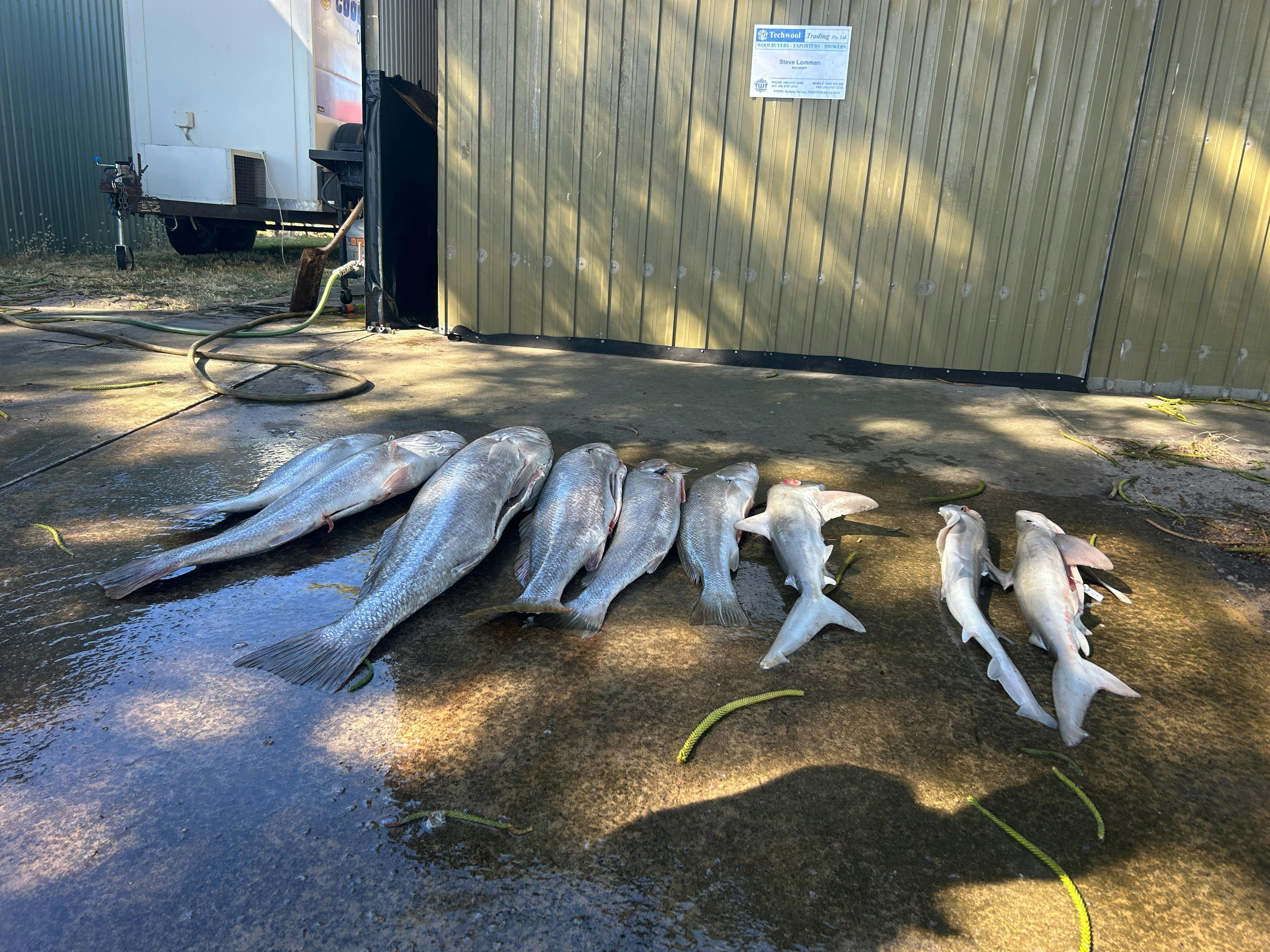 Kingston SE Surf Fishing Competition