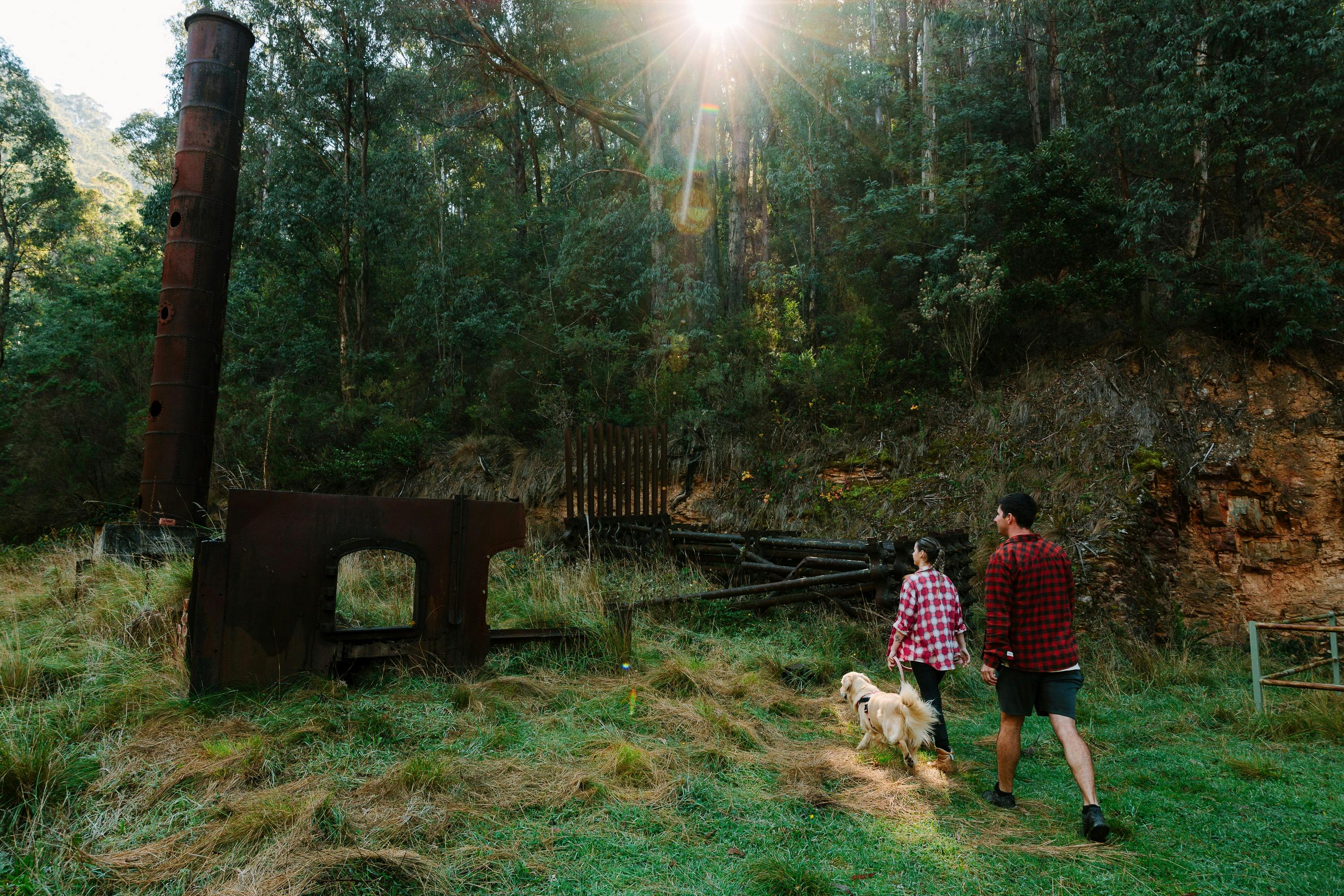 Two people and a dog at an old metal chimney surrounded by forest