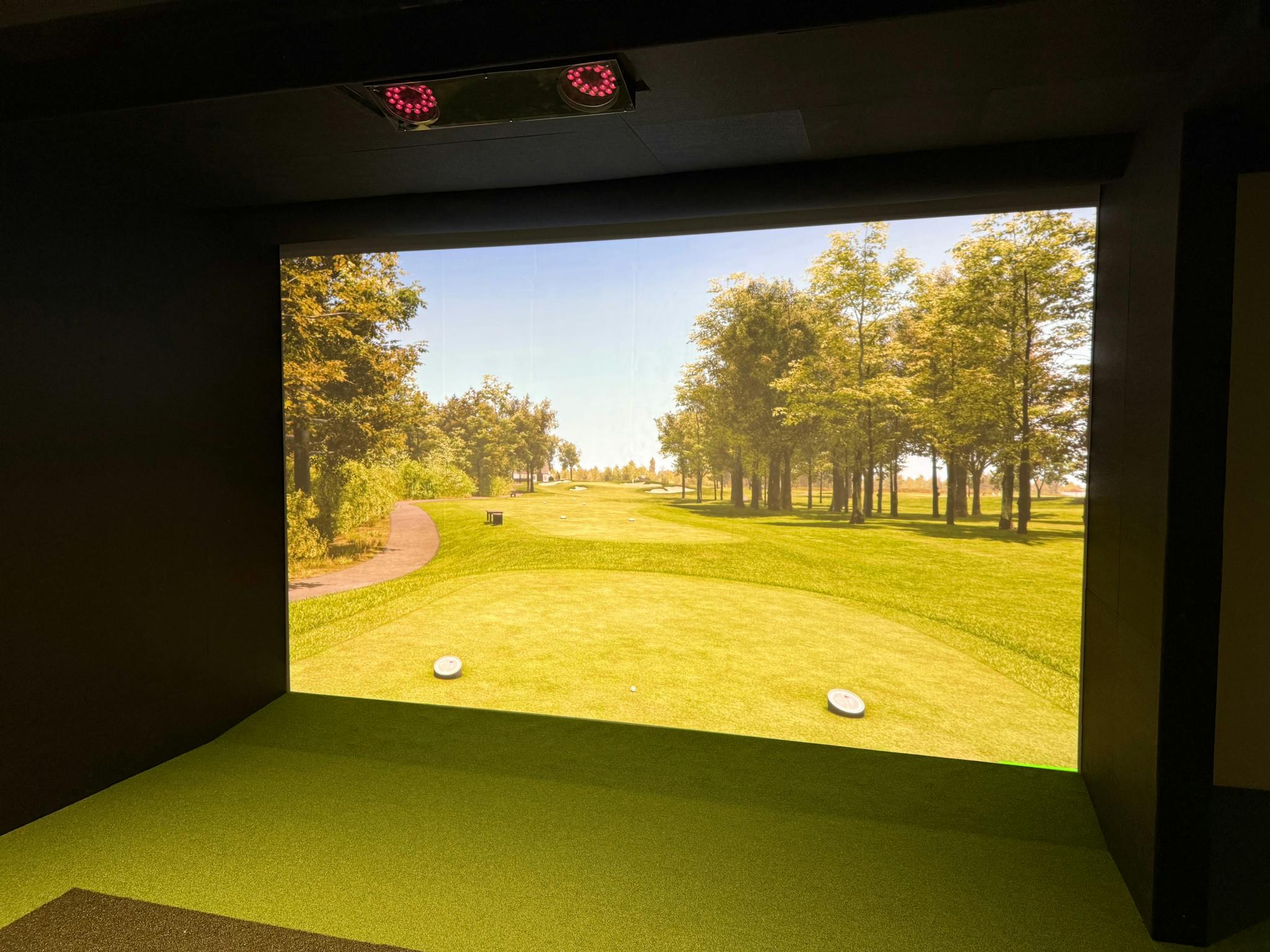 Birdies Bay with high-tech ProTee VX golf simulator and launch monitor Birdies Bay with high-tech ProTee VX golf simulator and launch monitor