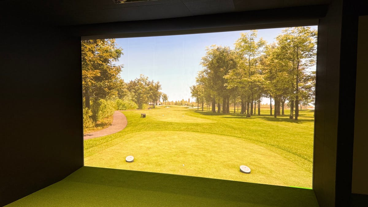 Birdies Bay with high-tech ProTee VX golf simulator and launch monitor