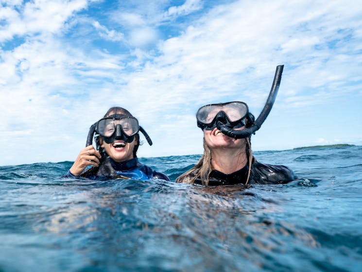 Julian Rocks Snorkeling Tour | NSW Holidays & Accommodation, Things to ...