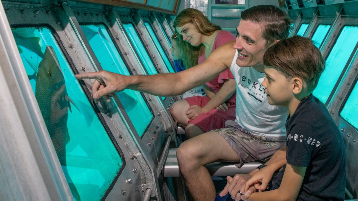 Semi Submarine - Big Cat Green Island Reef Cruises
