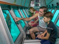 Semi Submarine - Big Cat Green Island Reef Cruises