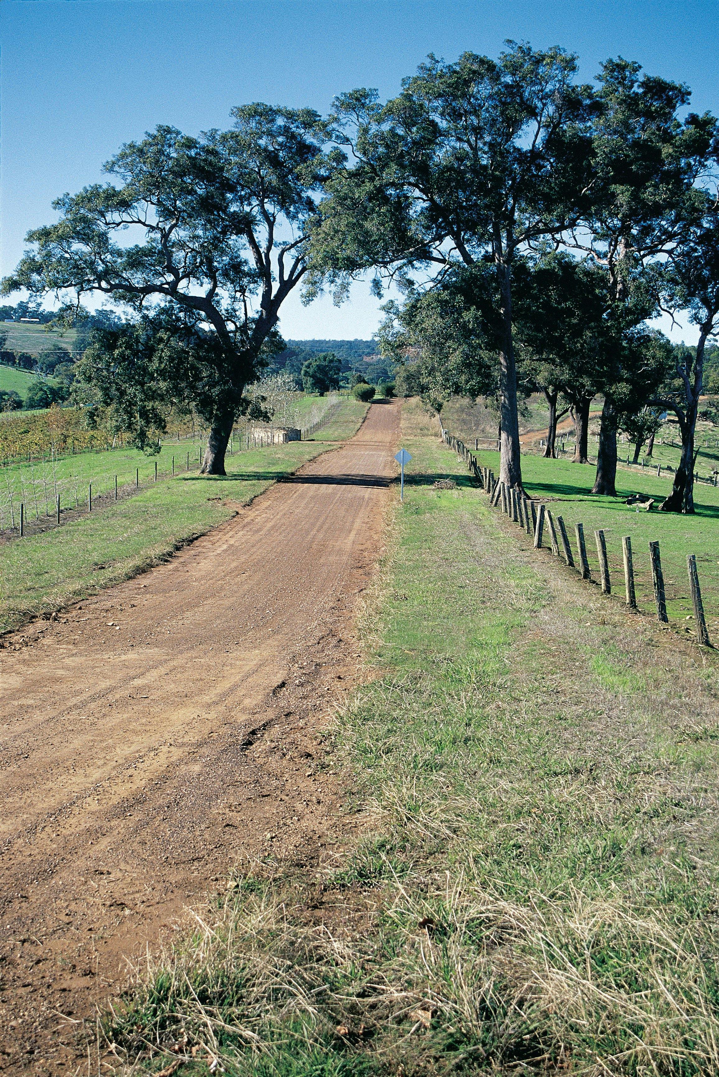 Jarrahland Wildflower Trail, Ferguson Valley, Western Australia