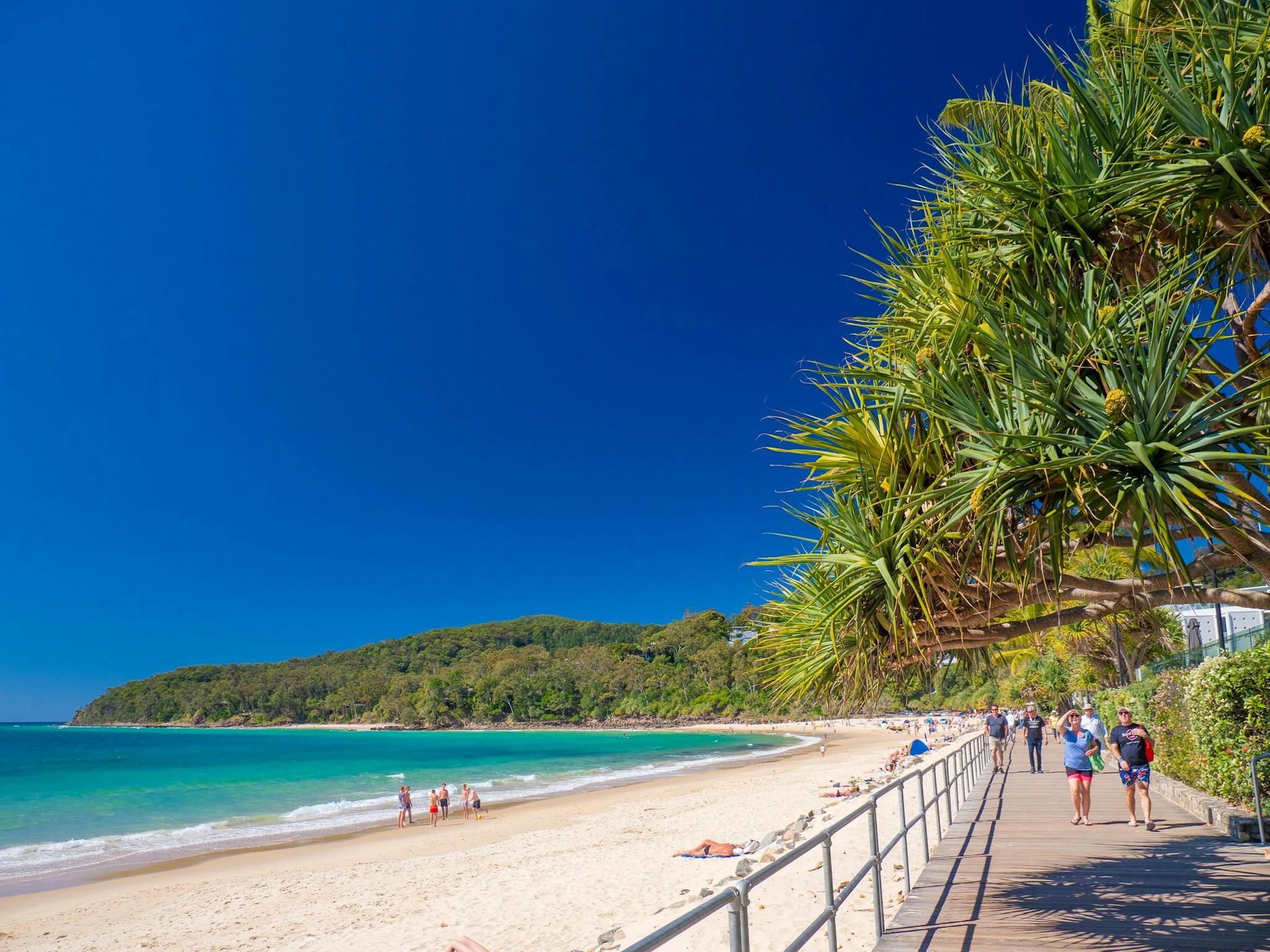 Noosa Heads Main Beach Noosa Heads Main Beach