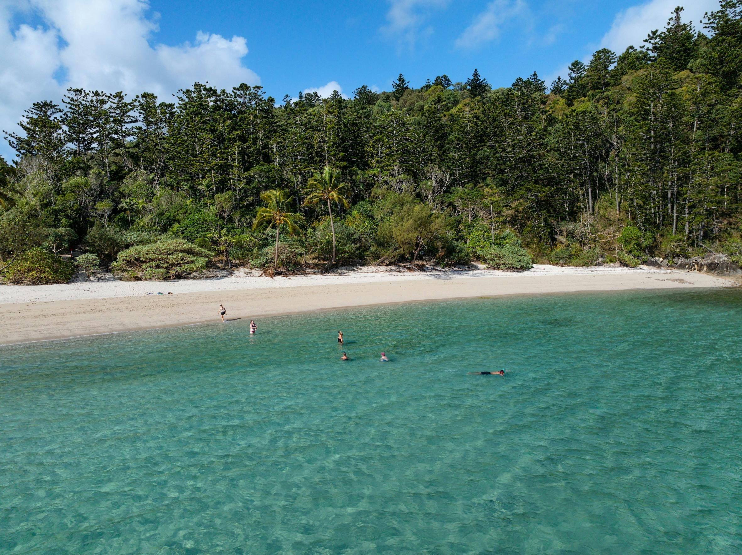 Ngaro Track