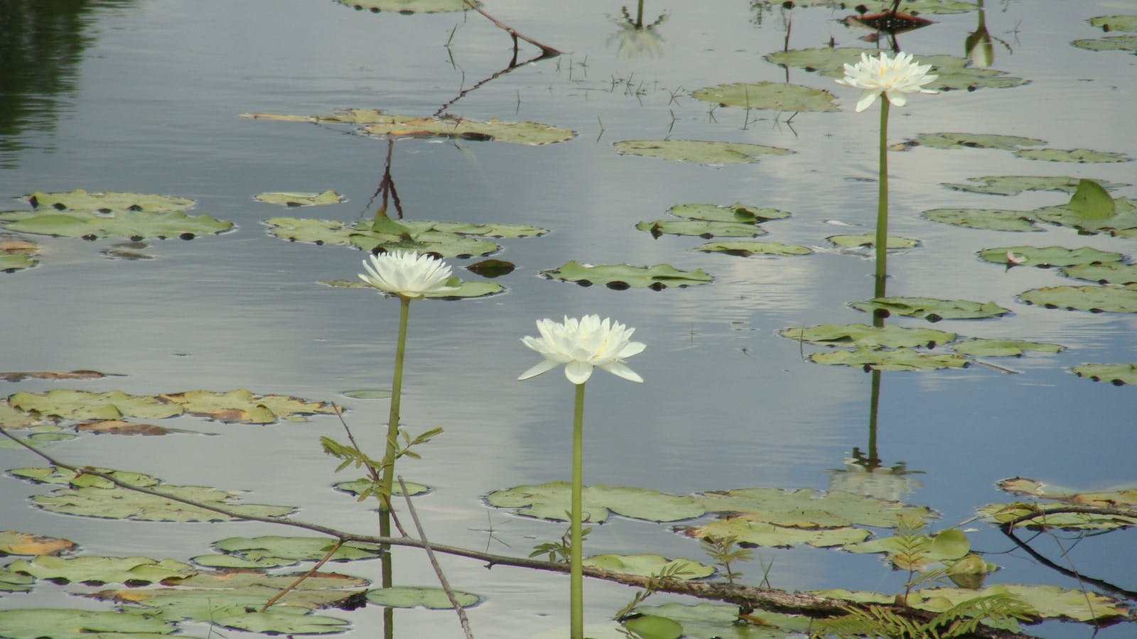 Djukbinj National Park
