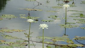 Djukbinj National Park