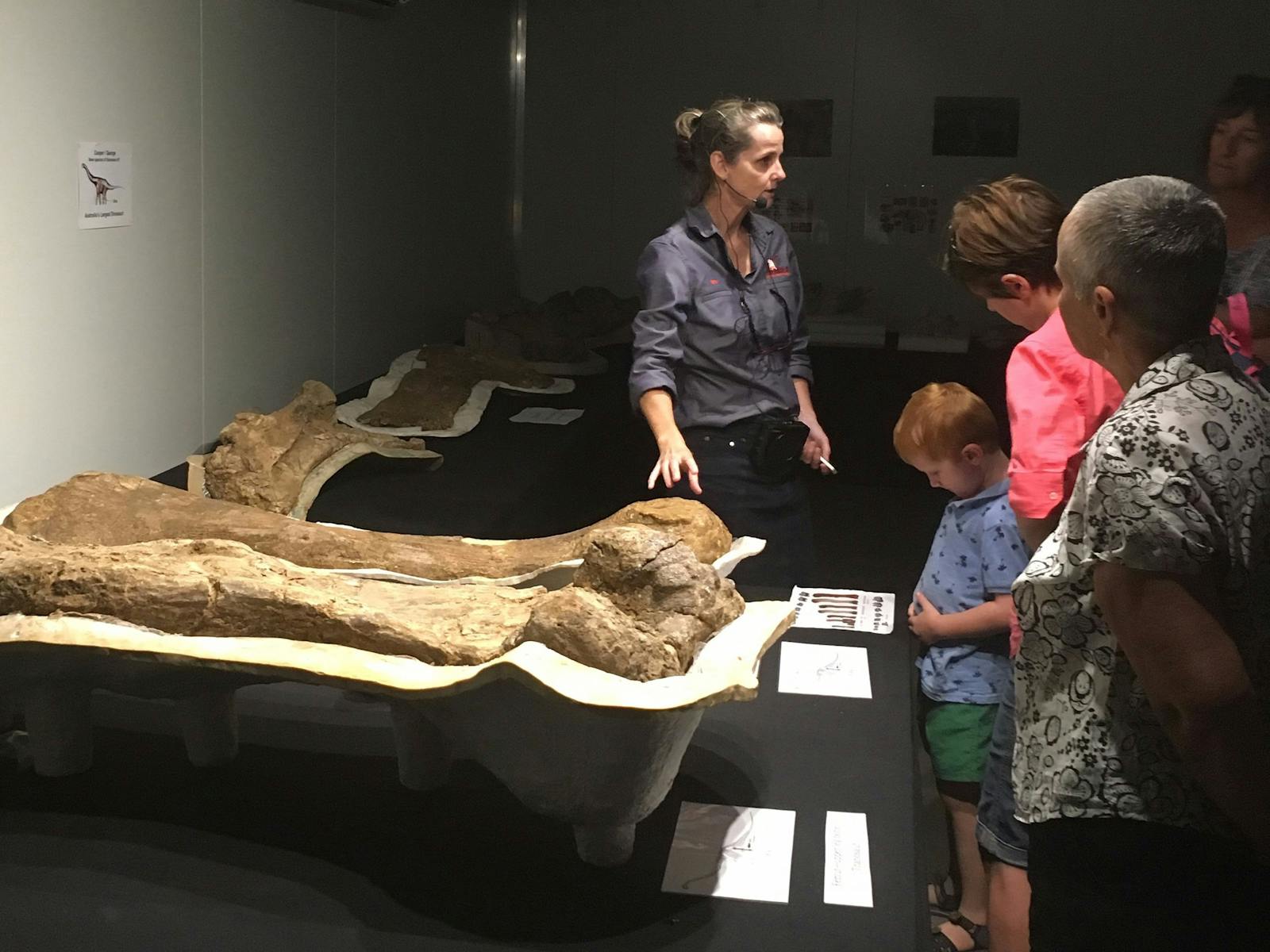 See some of the worlds largest dinosaur bones throughout the Australian Dinosaur Giants Tour