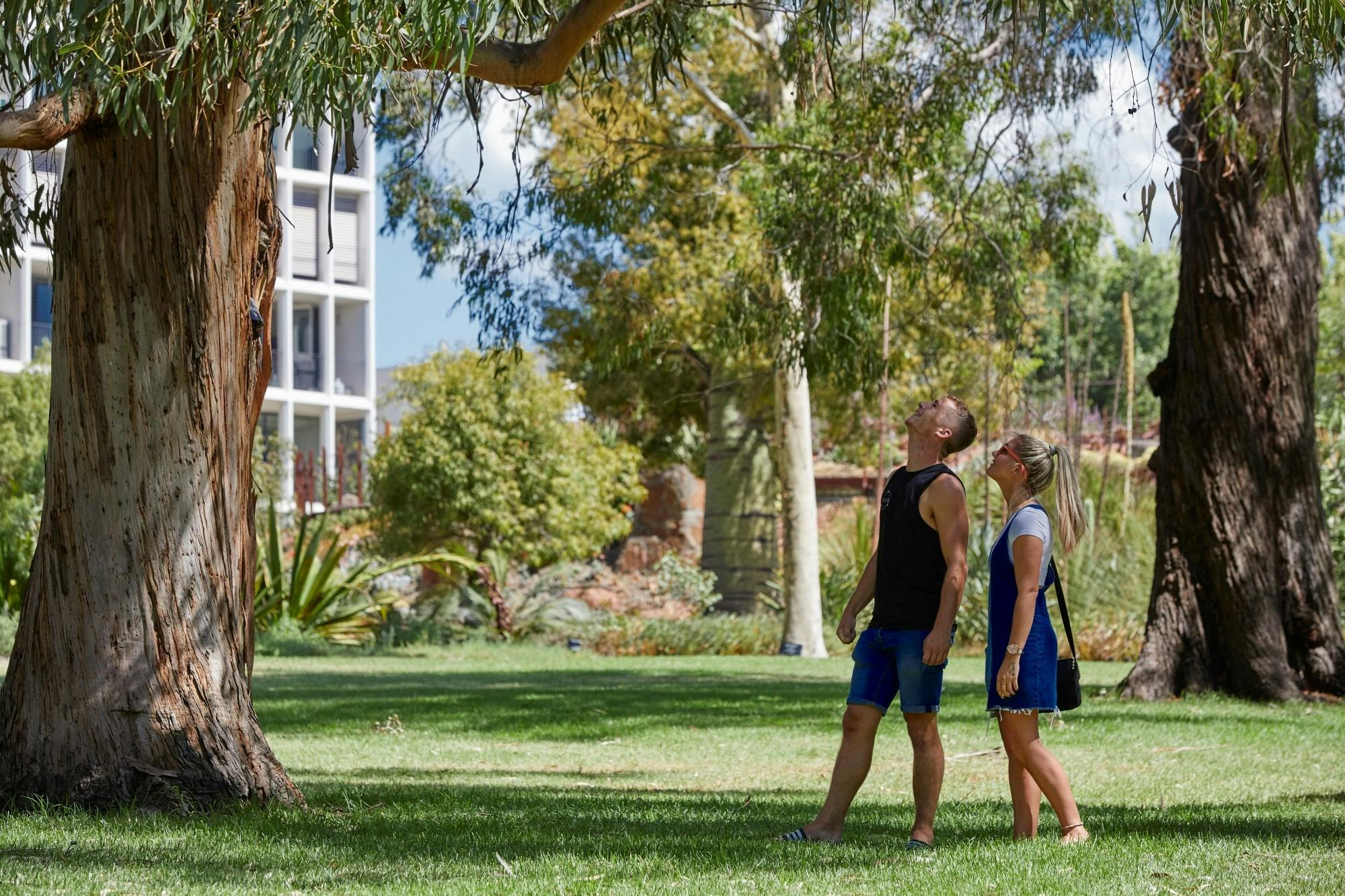National Eucalypt Day Walk
