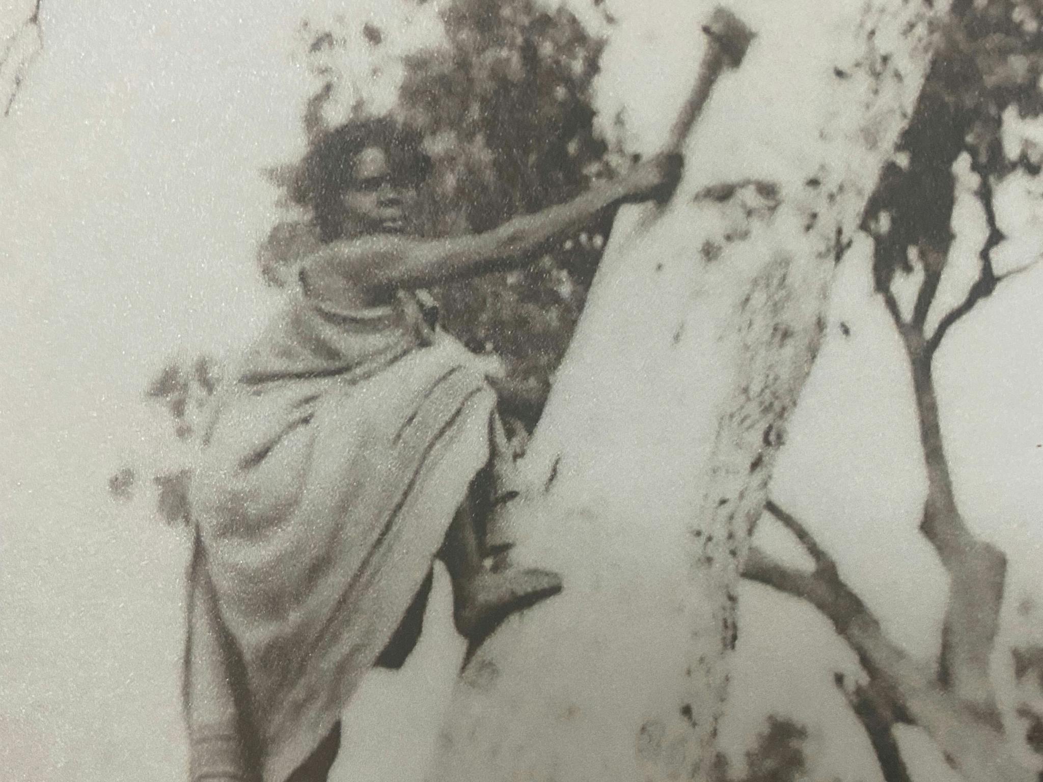 An indigenous women climbing a possum tree.