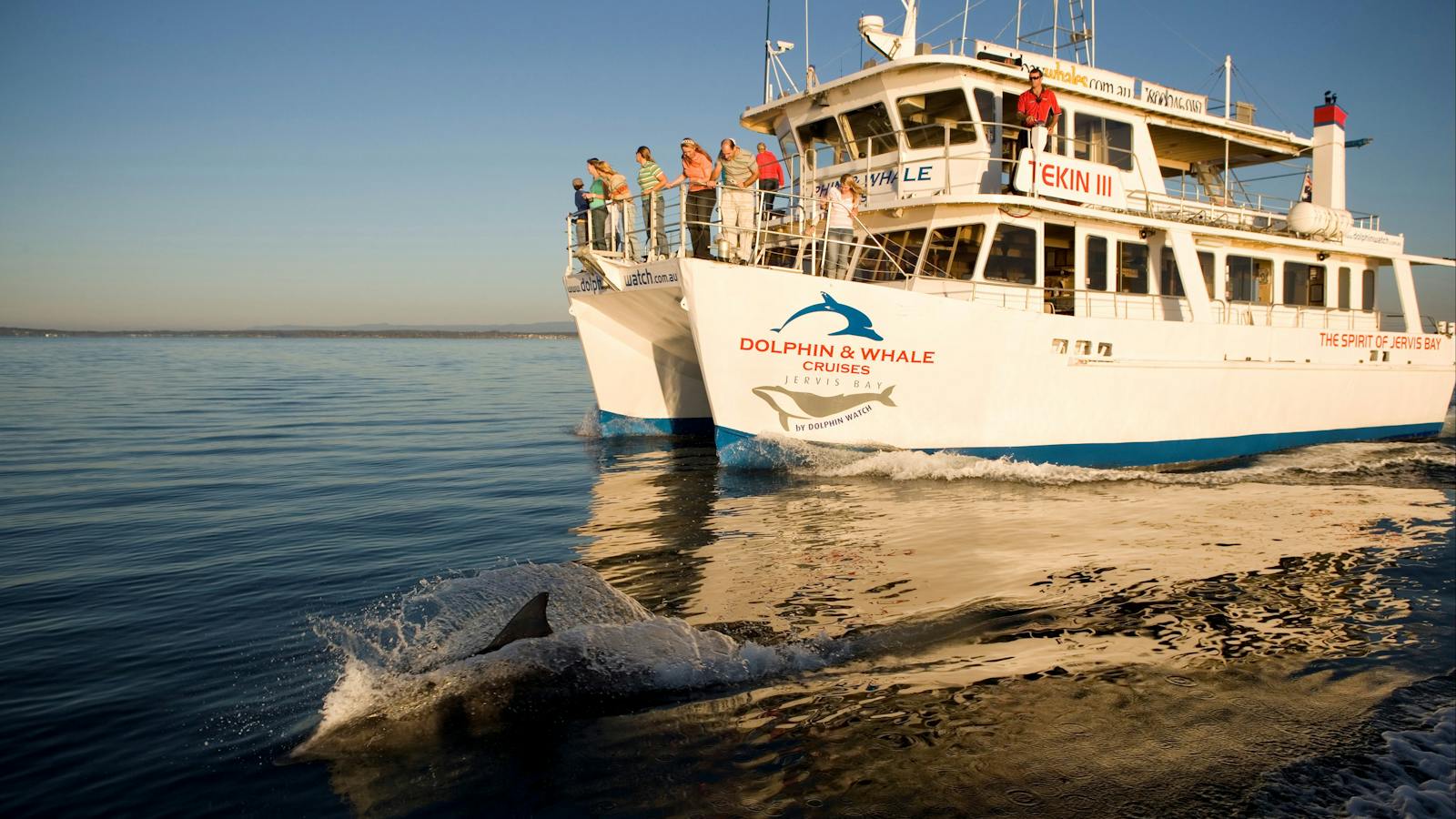 Dolphin watching cruise at Jervis Bay