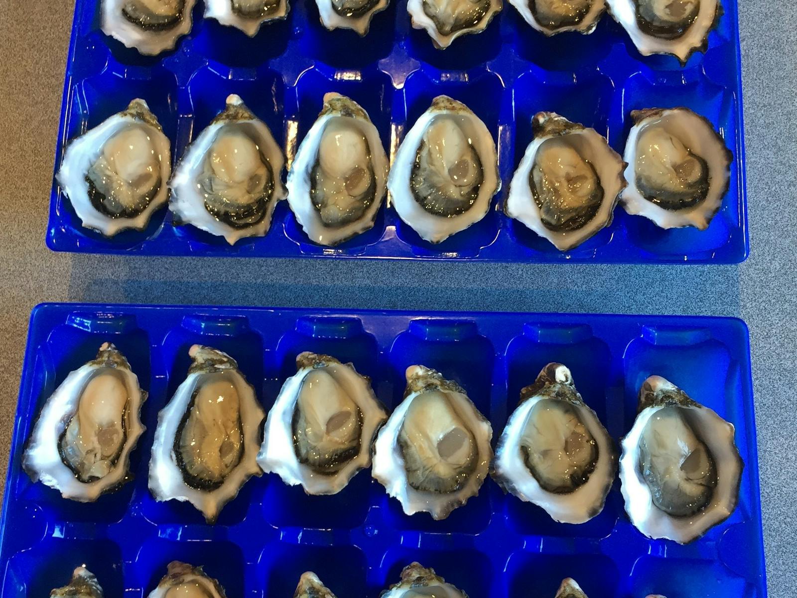 buffet size oysters