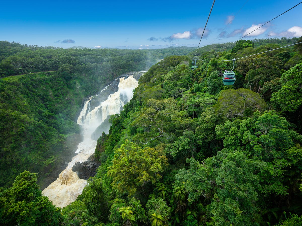 Skyrail over Barron Falls and the ancient rainforest