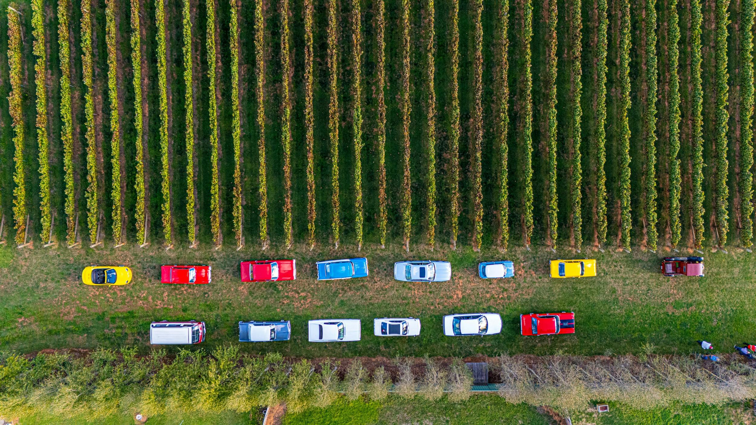 Gnoos Blas cars