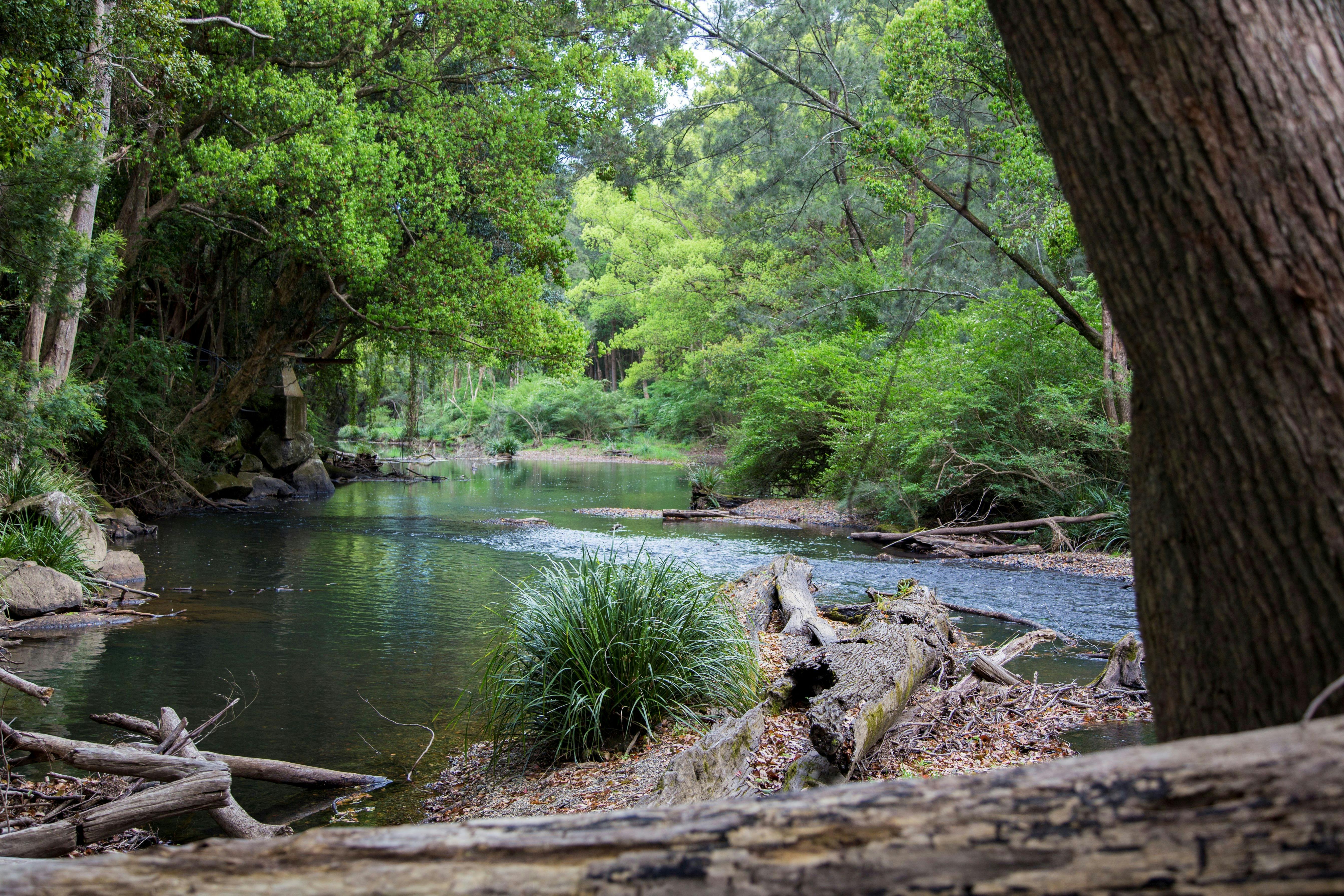 奧拉拉河 - 科蘭巴至納納格倫