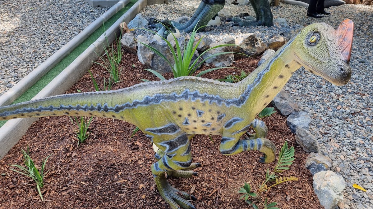 Dinosaur