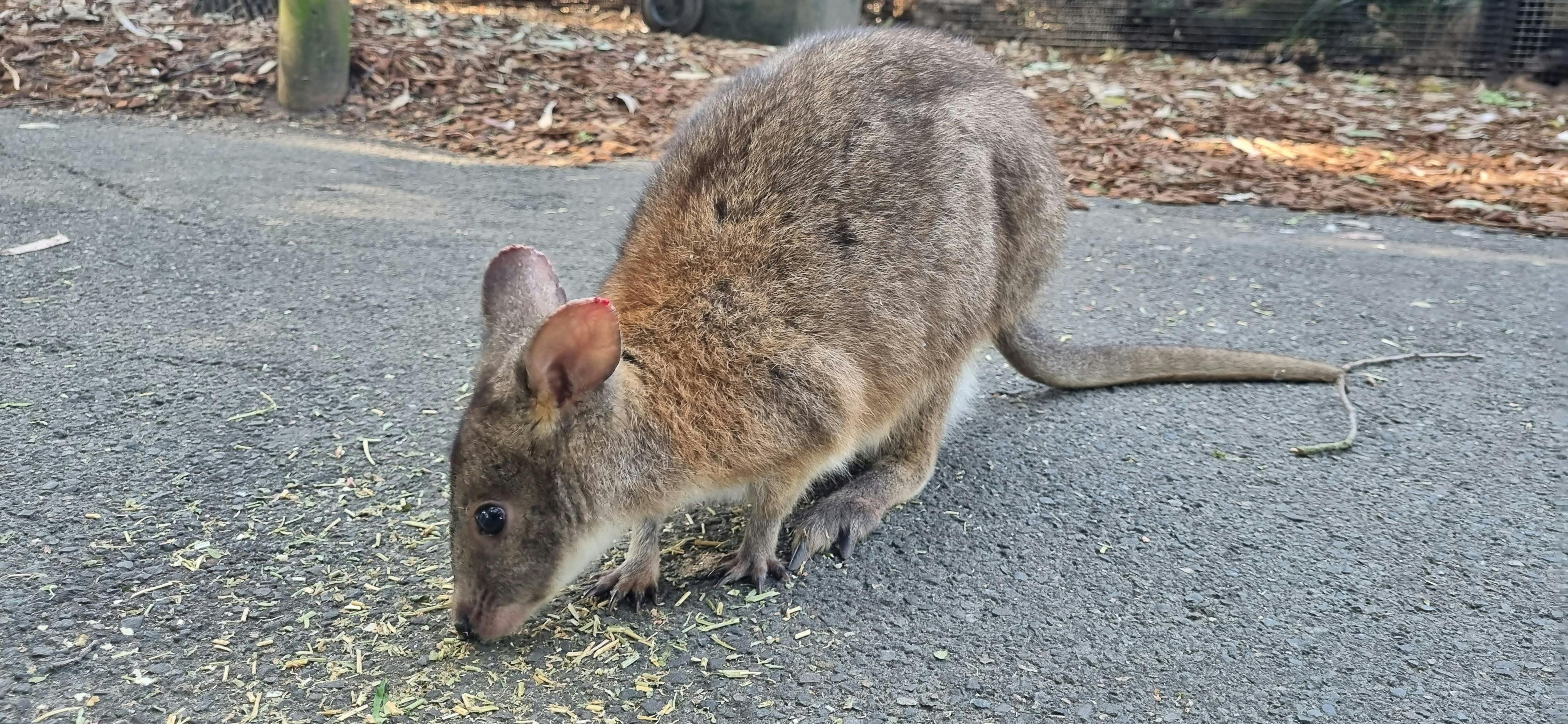 Blue Mountains day tours Sydney