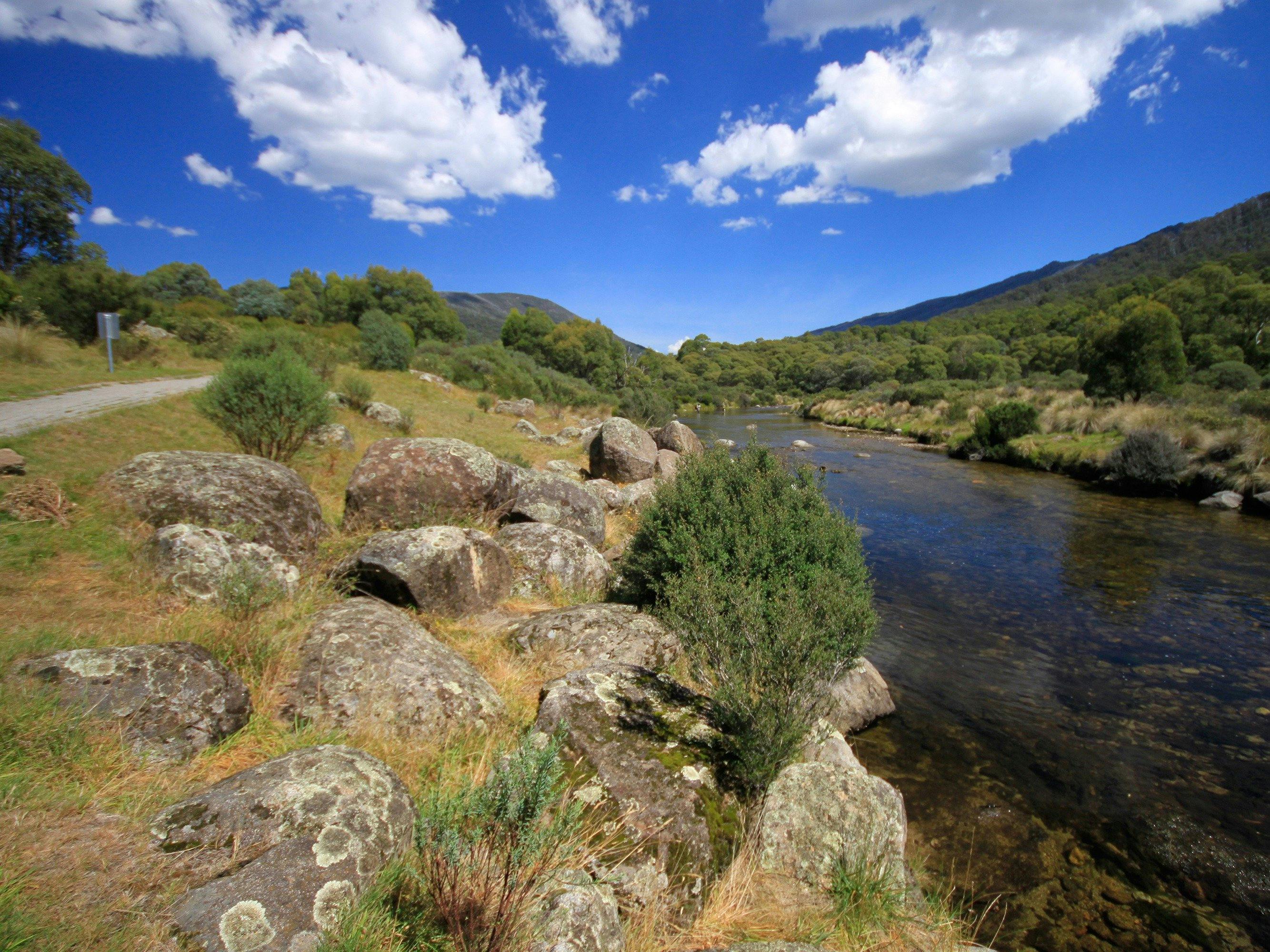 Bullocks walking track