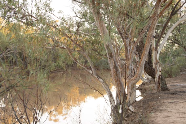 Eulo Town  Camping & Fishing Hole