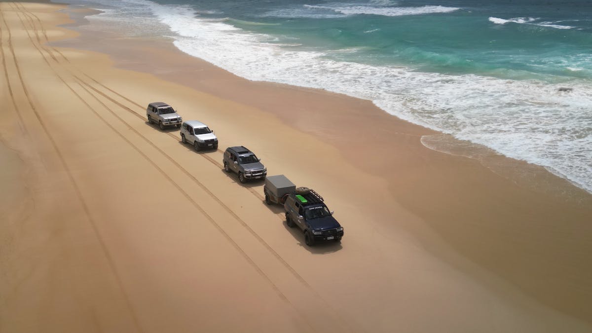Dingo's Tag-Along Cars