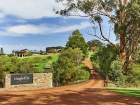 Singlefile Wines Tours