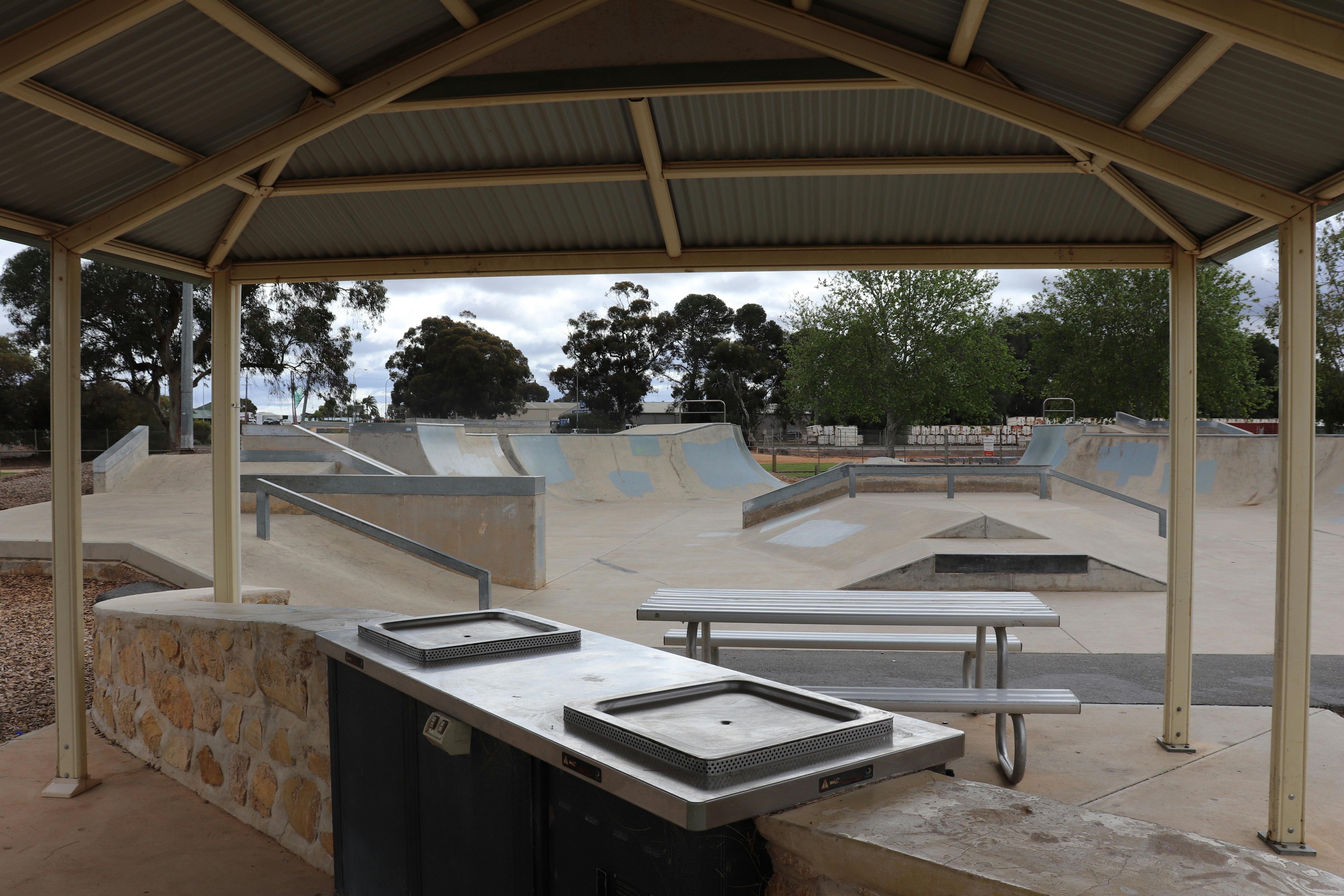 View from the barbecue shelter overlooking the skate park.