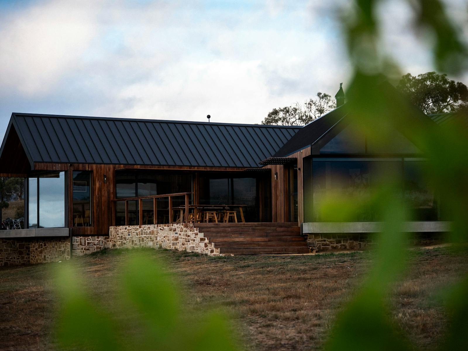 The Caledon Cellar Door viewed from the Pinot Gris vines planted in front of the building