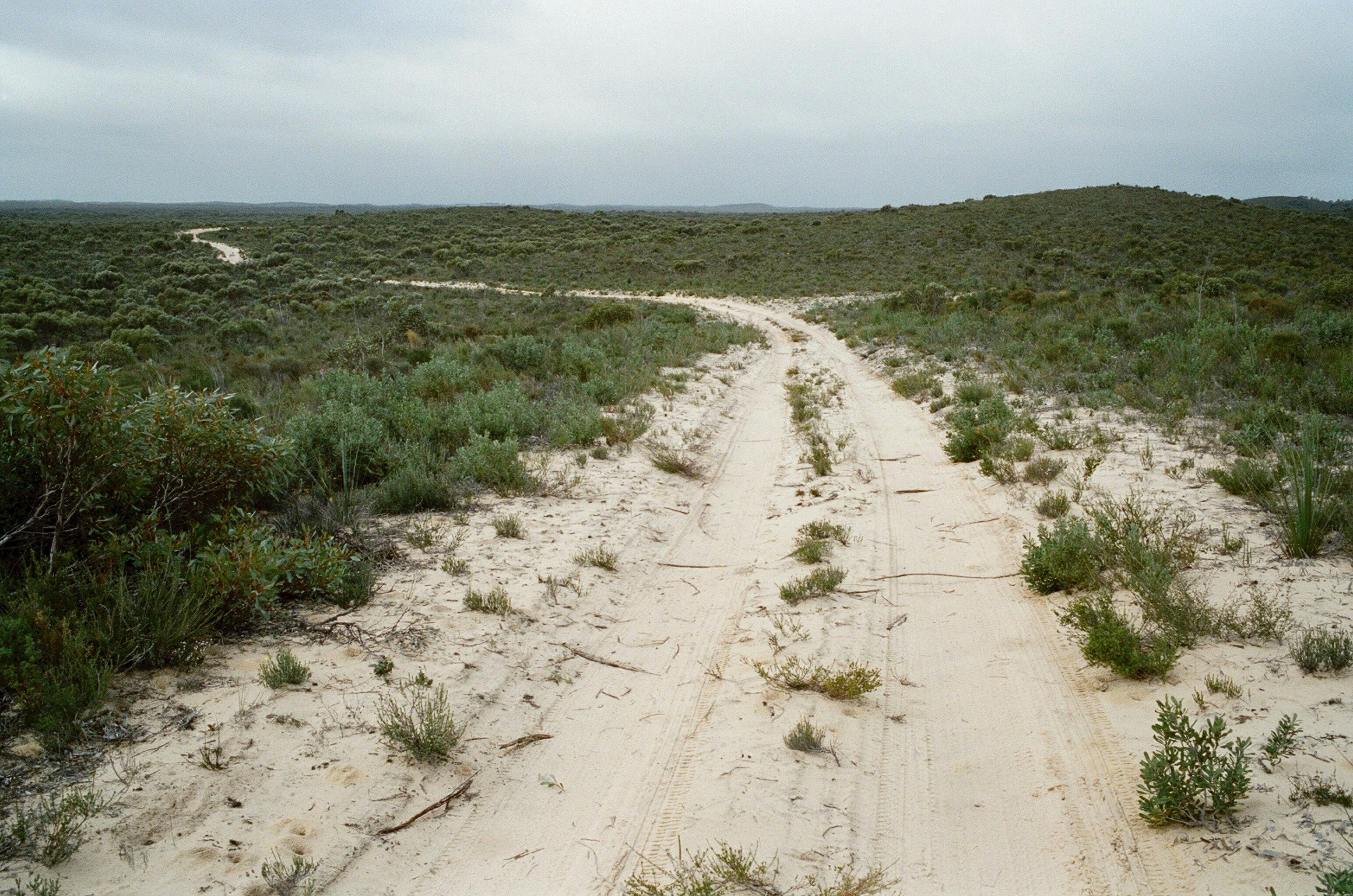 Ngarkat Conservation Park