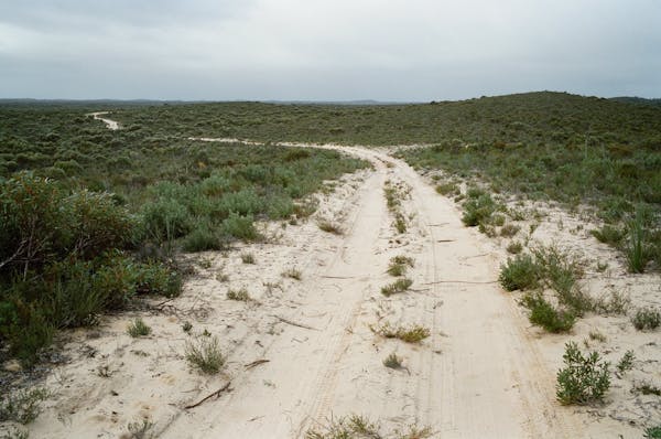 Ngarkat Conservation Park