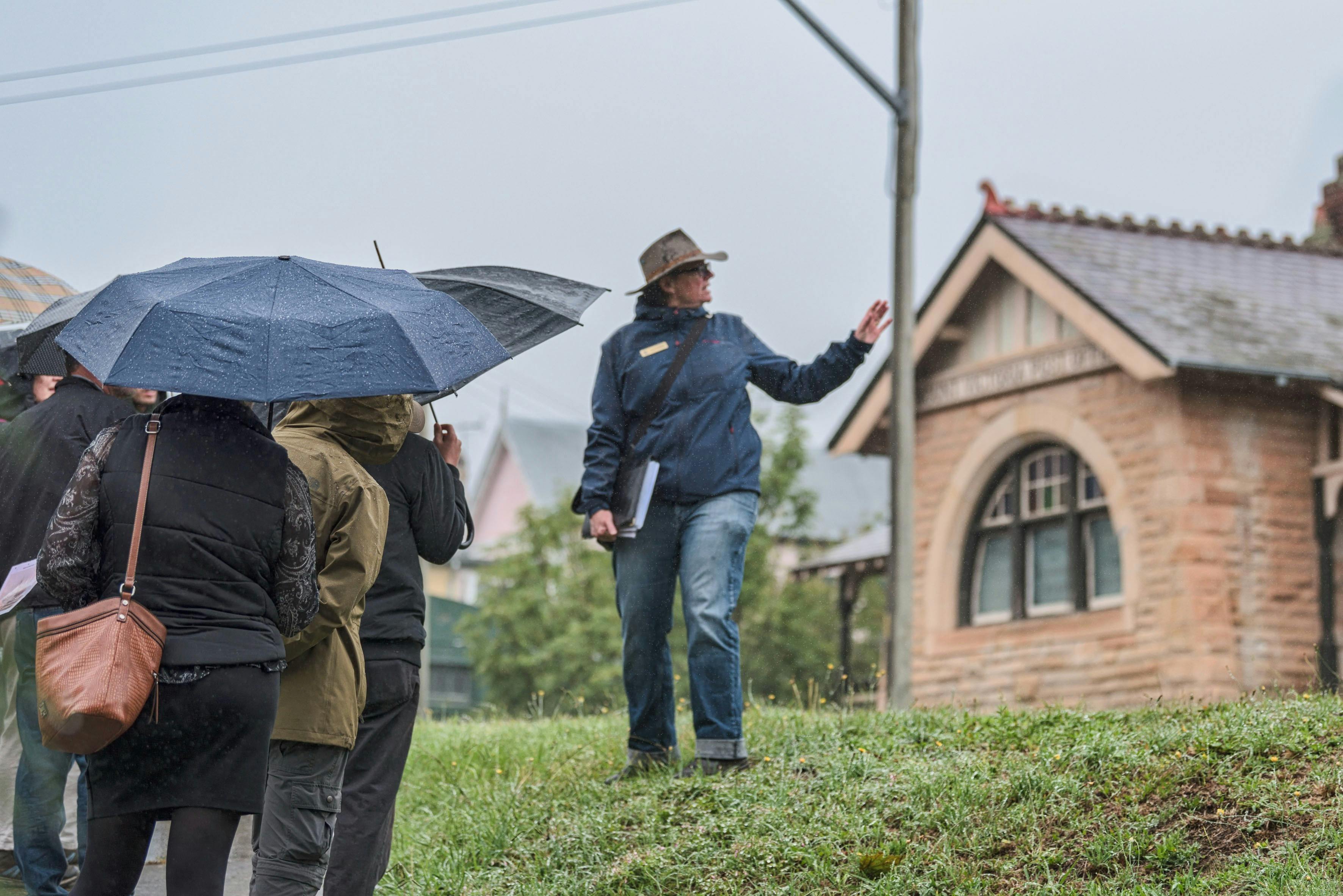 Mt Victoria story on a wet morning