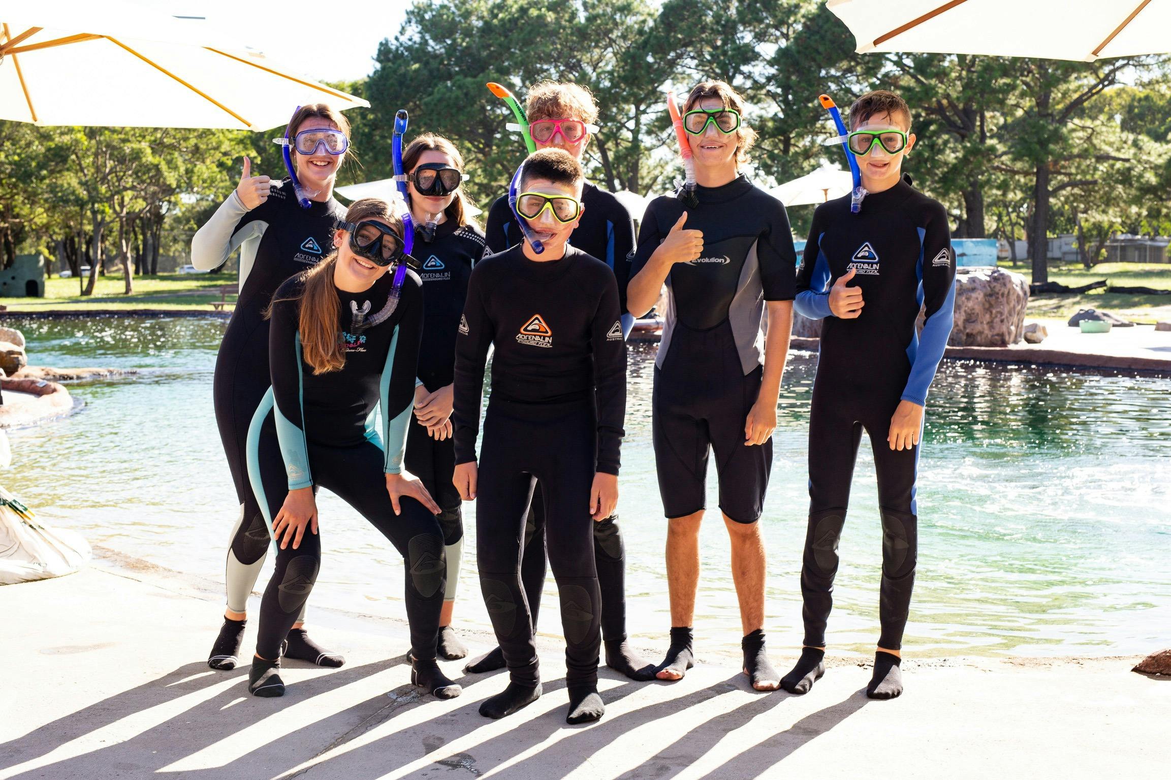 Snorkel with sharks and rays